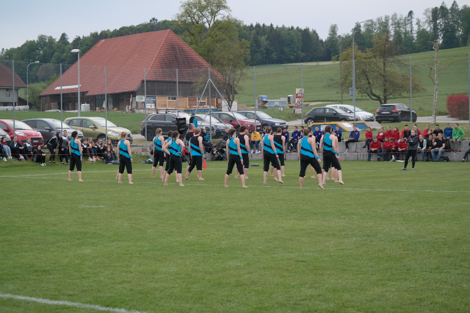 Bild 1 (264)
